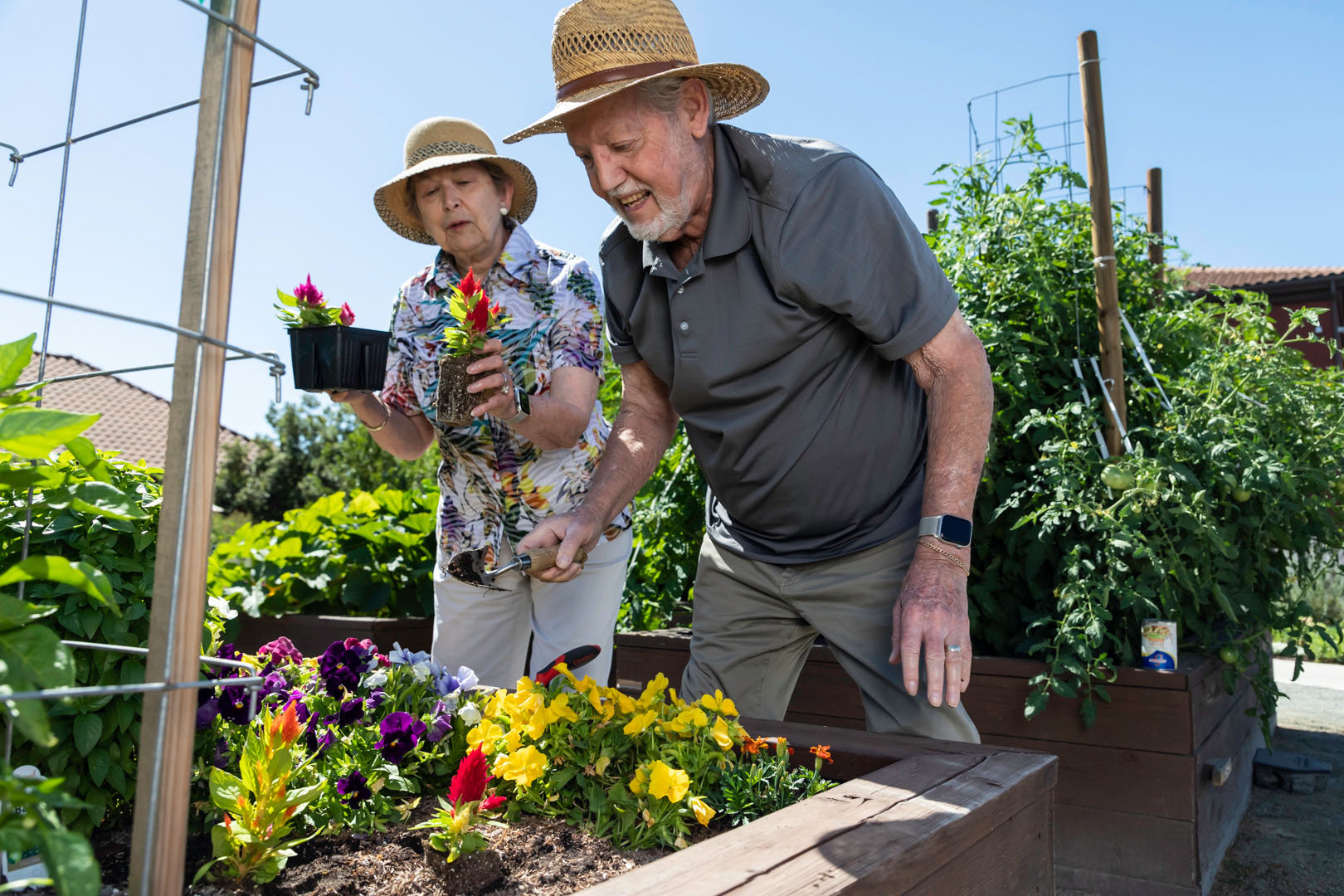 A senior man and woman wearing sun hats and gardening