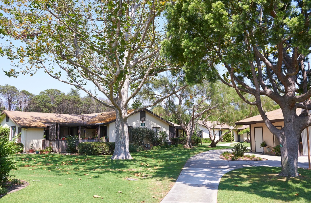 homes along a path, lots of shade