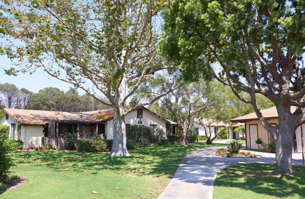 Homes along a path, lots of shade