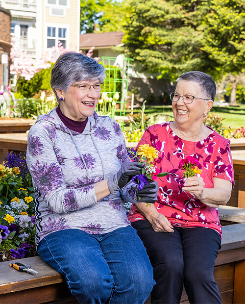 seniors gardening
