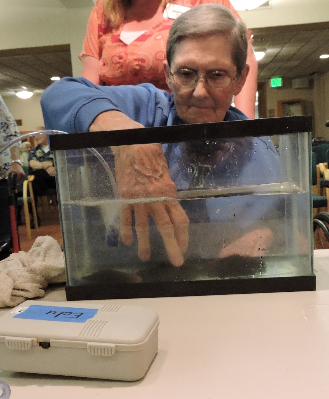 A woman reaching into a tank of water