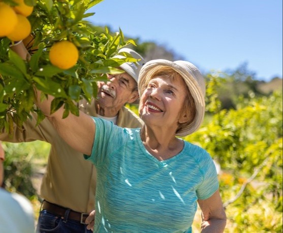 senior woman picking lemons off of tree
