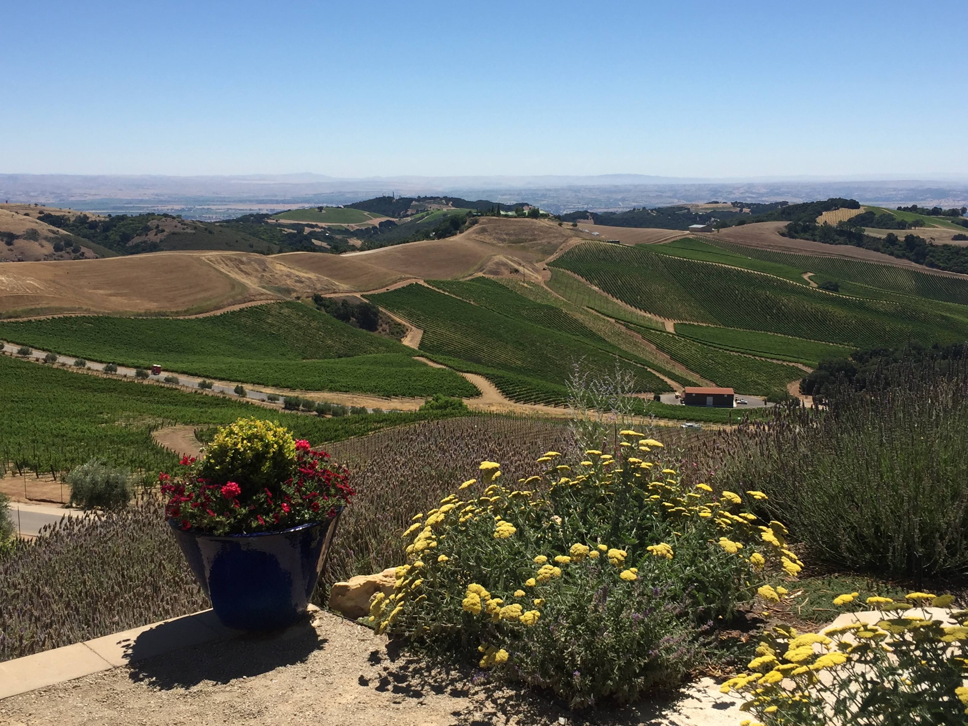 wine tour central coast