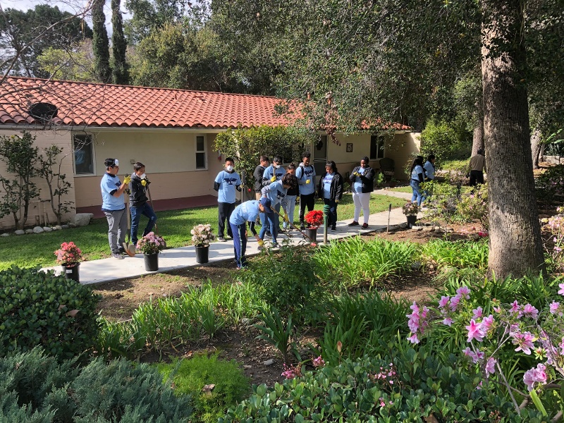 A group of people planting flowers along a path.