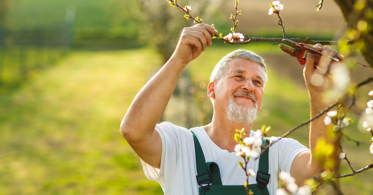 older man gardening outside