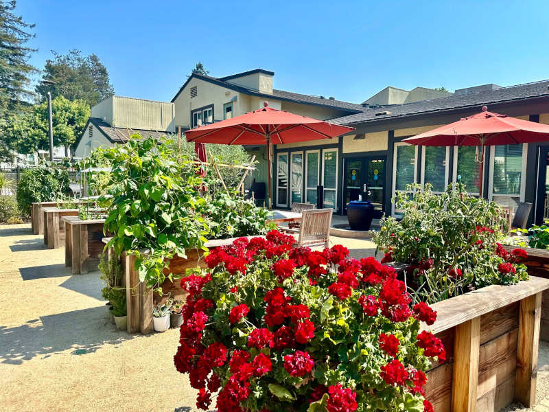 Life's Garden outdoor area with seating and plants Life's Garden outdoor area with seating and plants